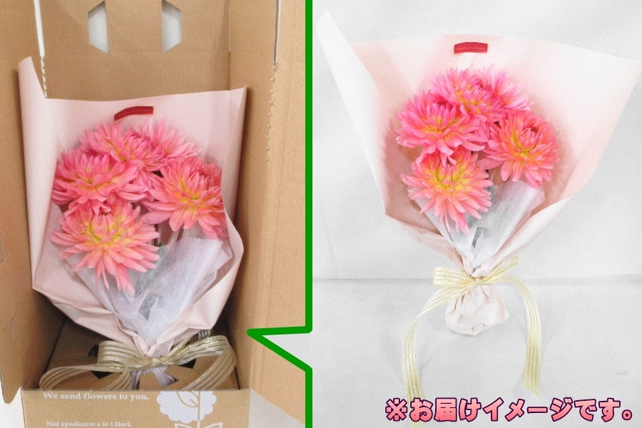 産地直送 通販 お取り寄せ 10 29出荷 秋田県産namahageダリアの花束 おらほの逸品館 ｊａタウン