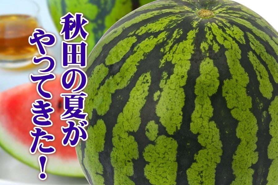 7月下旬以降発送】大玉スイカ あきた夏丸(2L×2玉) (ＪＡ秋田ふるさと): おらほの逸品館|【ＪＡタウン】産地直送 通販 お取り寄せ