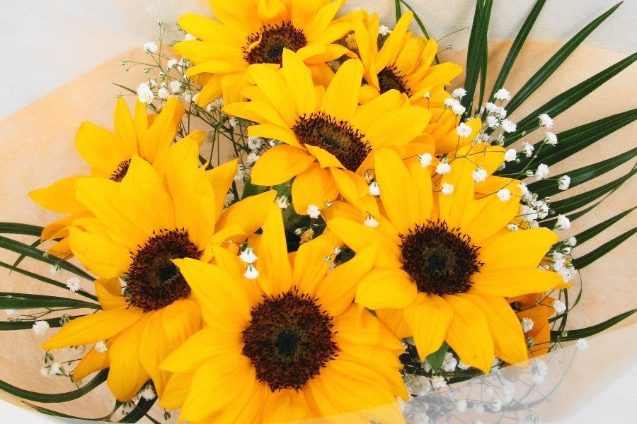 産地直送 通販 お取り寄せ 父の日 秋田県産ひまわりの花束 おらほの逸品館 ｊａタウン