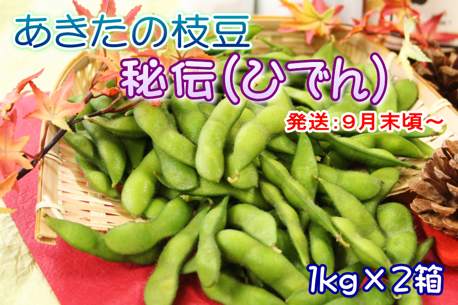 秋田の枝豆 「秘伝」 2箱セット: おらほの逸品館|【ＪＡタウン】産地直送 通販 お取り寄せ