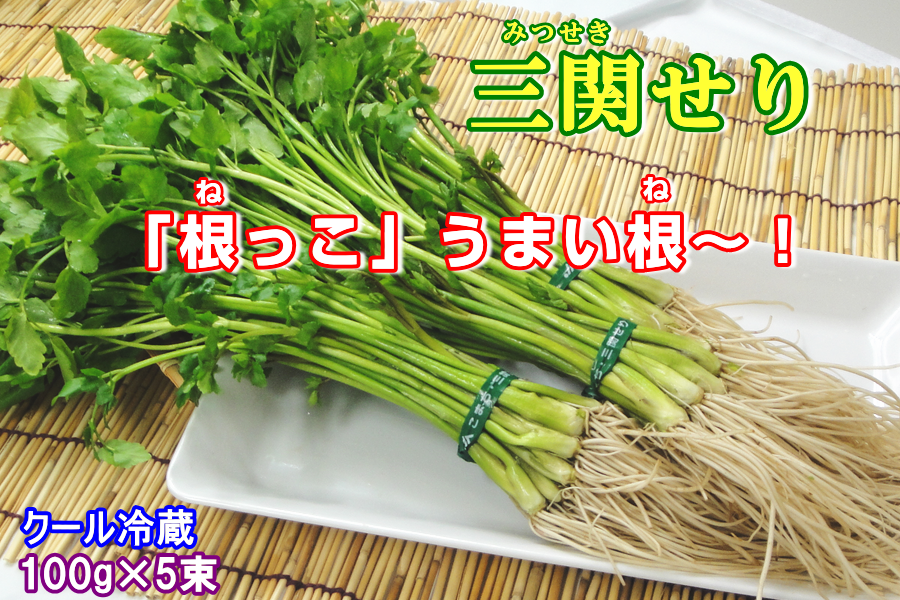 せり三関産20束 12月25日発送分