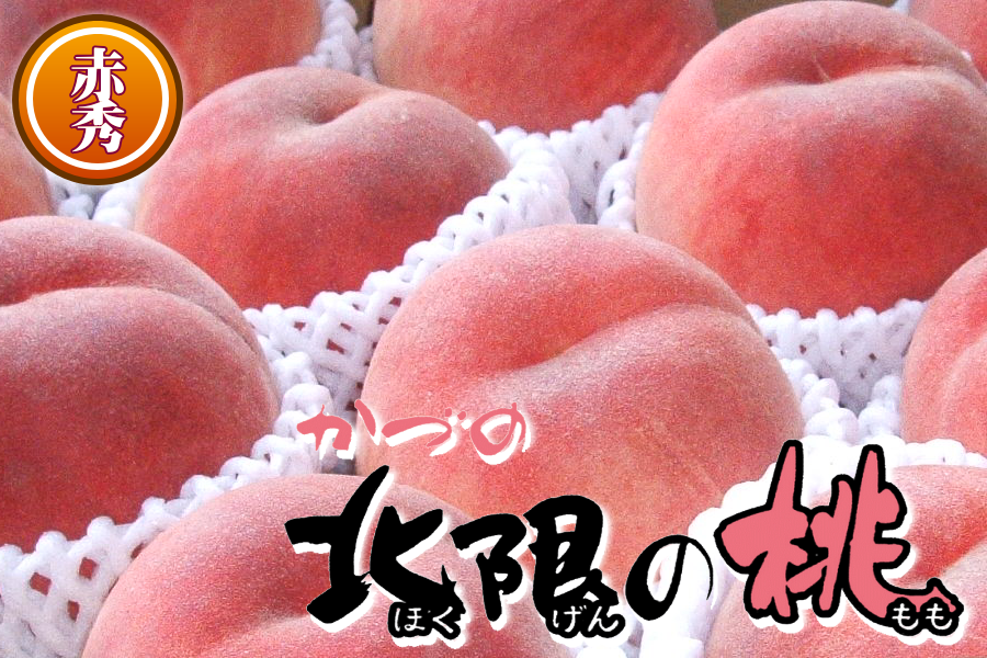 D】かづの北限の桃（川中島白桃）「赤秀」5㎏（12～16玉）【９月上旬～順次発送】: おらほの逸品館|【ＪＡタウン】産地直送 通販 お取り寄せ