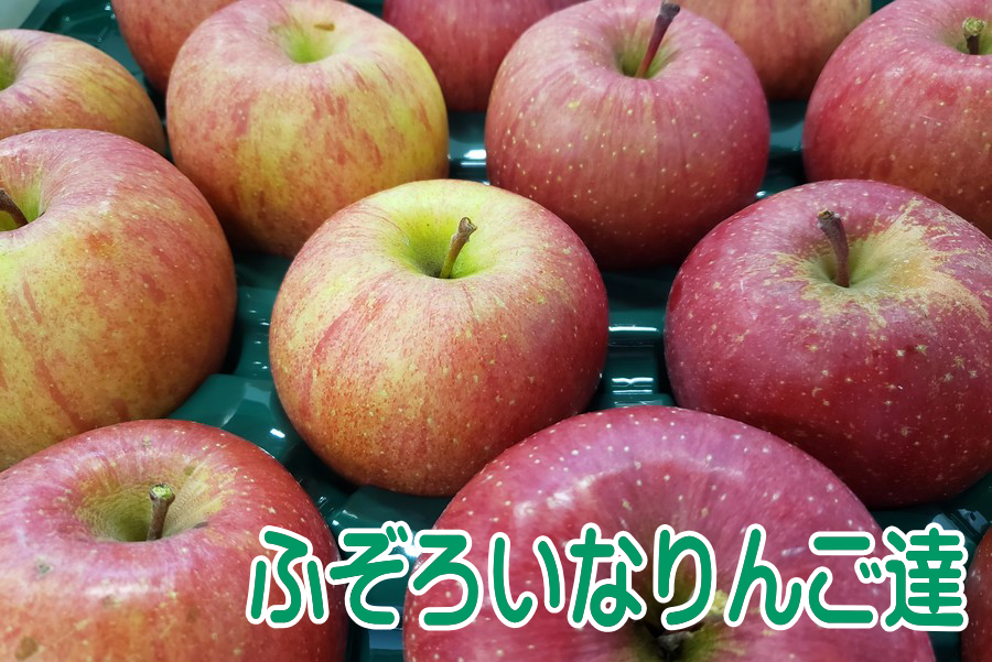 ⑪2個セット送料無料リンゴ箱りんご箱C品木箱