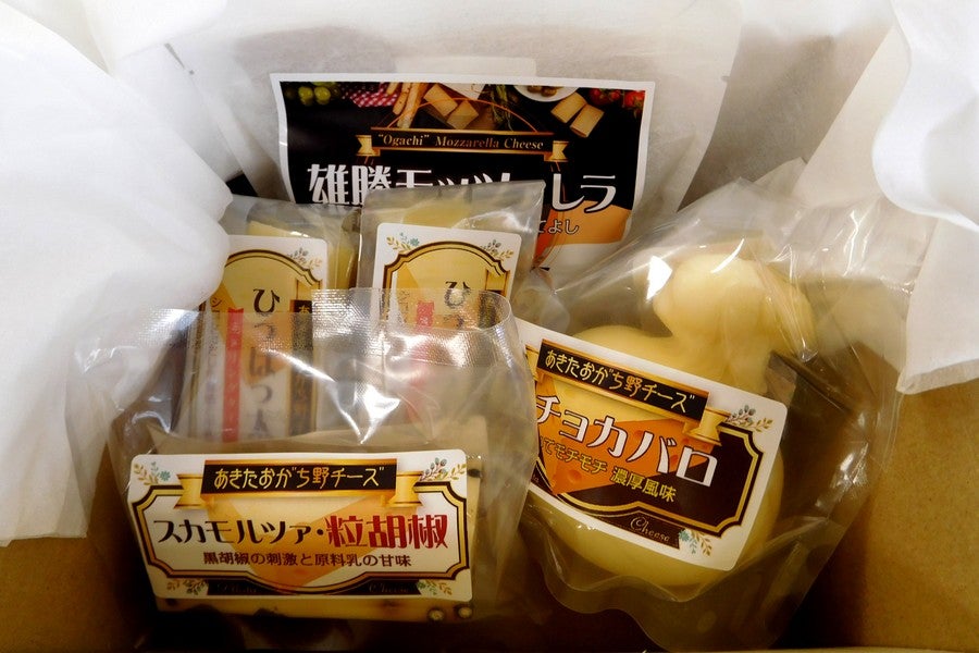 長野　高原育ちの完熟大粒ブルーベリー冷凍　1kg - 2