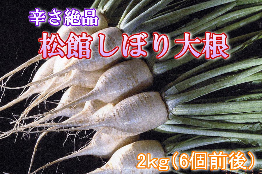 11月下旬以降発送】【辛さ絶品！】松館しぼり大根２kg:　通販　おらほの逸品館|【ＪＡタウン】産地直送　お取り寄せ