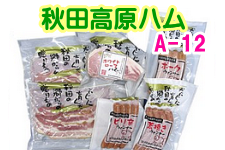 yA12znZbg ` [Xn x[R zCg[Xn EBi[3 `