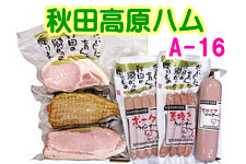 yA16znZbg ` EBi[2 zCg[Xn ē n {jA `