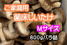  �ۏ��������� M�T�C�Y(800���o���l��)