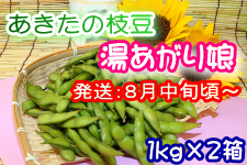 Hc̎} u薺v 2Zbg