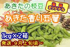 秋田オリジナル枝豆 「あきた香り五葉」 ２箱セット