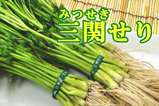 y12/10`oׁzOւ聚100g×5i`joׁj