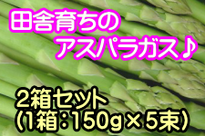 AXpKX 2Zbg (`) LTCY (150g×5)×2