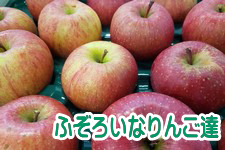 �y11�����{�����z���Â̂�񂲁w�ӂ��낢�Ȃ�񂲒B�x�i�T���ӂ��j10kg�y�ƒ�p�z
