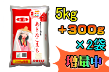 【農家応援】あきたこまち 5kg×2袋 (令和3年産)【秋田県産】【300g増量中！】