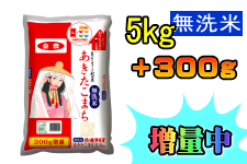 農家応援】 無洗米あきたこまち 5kg (令和3年産)【300g増量中！】(秋田