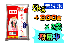 【農家応援】 無洗米あきたこまち 5kg×2袋 (令和3年産)【秋田県産】【300g増量中！】