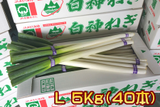 �y�H�c���Y�z���_�˂��y�T�s�E�k�z�i�i�`���������_�j