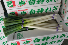 �y�H�c���Y�z���_�˂��y�T�C�Y���܂����Tkg�z�i�i�`���������_�j