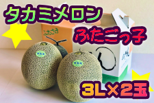 y7{ȍ~zHcY^J~ӂq(3L×2) (i`Hc܂)