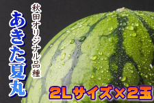 y7{ȍ~zʃXCJ Ċ(2L×2) (i`Hcӂ邳)