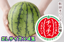 y7{`{zʃXCJ Ċۃ`b`F(2L×4) (i`Hcӂ邳)