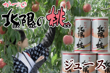 yz Â̖k̓W[Xijyi`Ấz