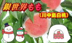 y8{`\z␢Ei쒆jii`Hcӂ邳Ɓj 5kgyHcYz