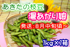 Hc̎} u薺v