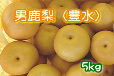 j(L) 5kg(16)y9{ȍ~zii`HcȂ܂͂j