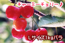 6{`w`[~[`F[iсjxLTCY1kgo