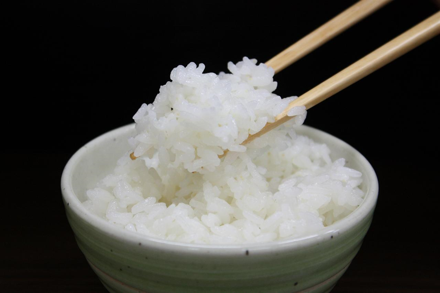 【令和7年産】無菌パックごはん(あきたこまち・ひとめぼれ200g×各12パック入り)