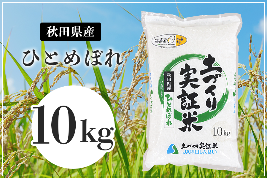 【セール】Ｒ2年度 秋田県産 一等米級 ひとめぼれ 米 20kg 産地直送送料無料