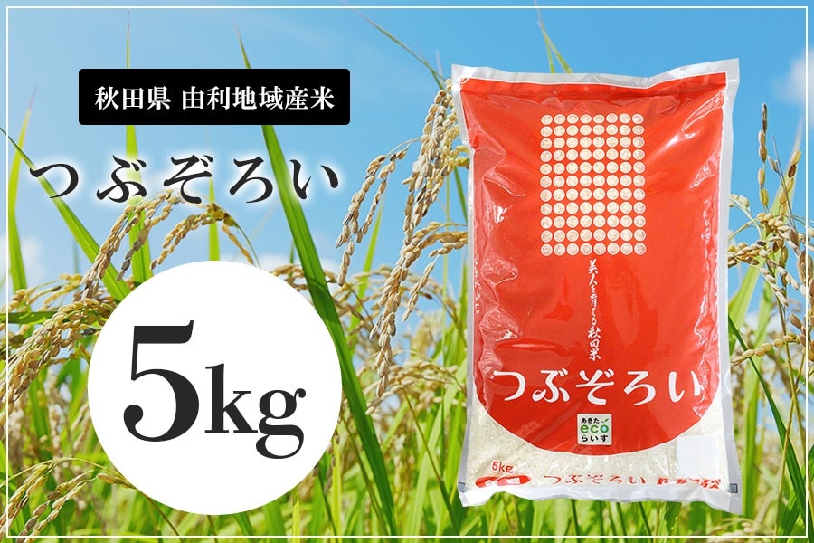 産地直送 通販 お取り寄せ令和2年産つぶぞろい5ｋｇ あきたｅｃｏらいす Ja秋田しんせい ｊａタウン