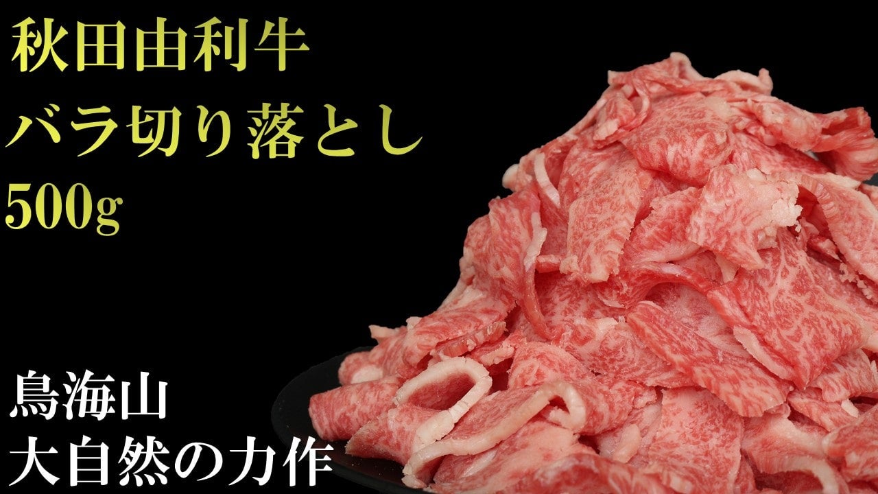 �H�c�R�����@�o���؂藎�Ƃ�500��