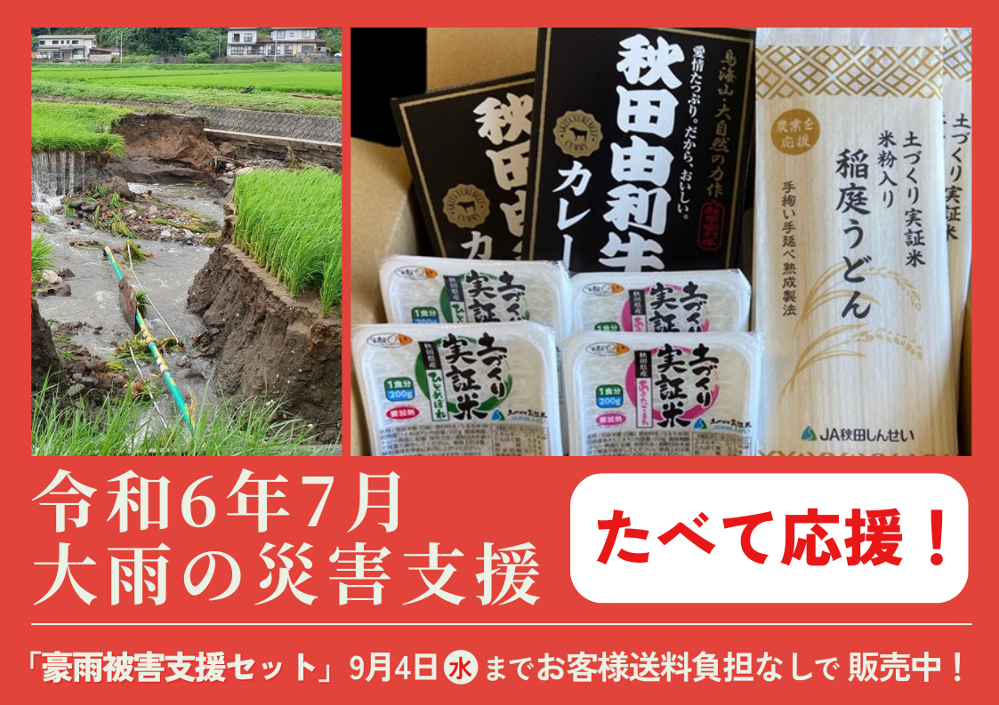 あきたこまち 10kg×2 農薬不使用 玄米 国産 農家直送 安心 安全