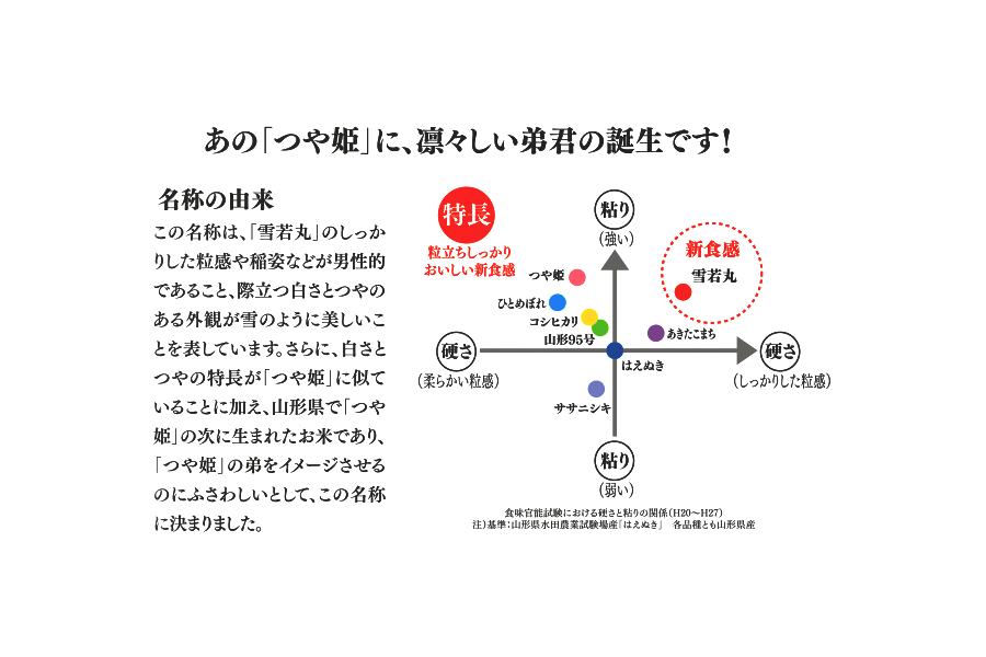 令和8年産】山形県産雪若丸 10kg（5㎏×2）: 全農ライフサポート山形