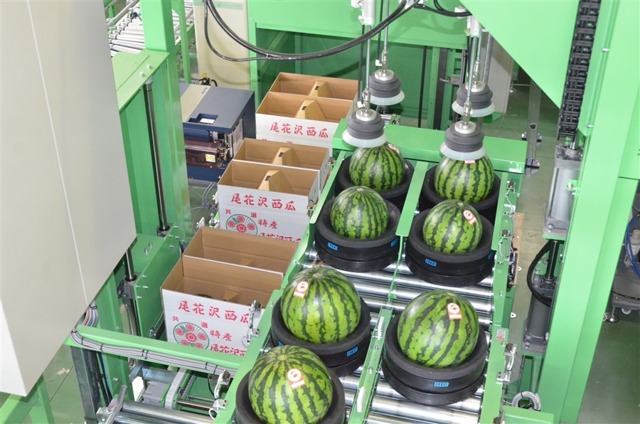 尾花沢すいか 6L 1玉: 全農ライフサポート山形|【JAタウン】産地