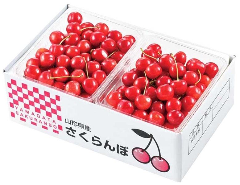 山形県産さくらんぼ佐藤錦（800gバラ詰め） 6月上旬～順次発送