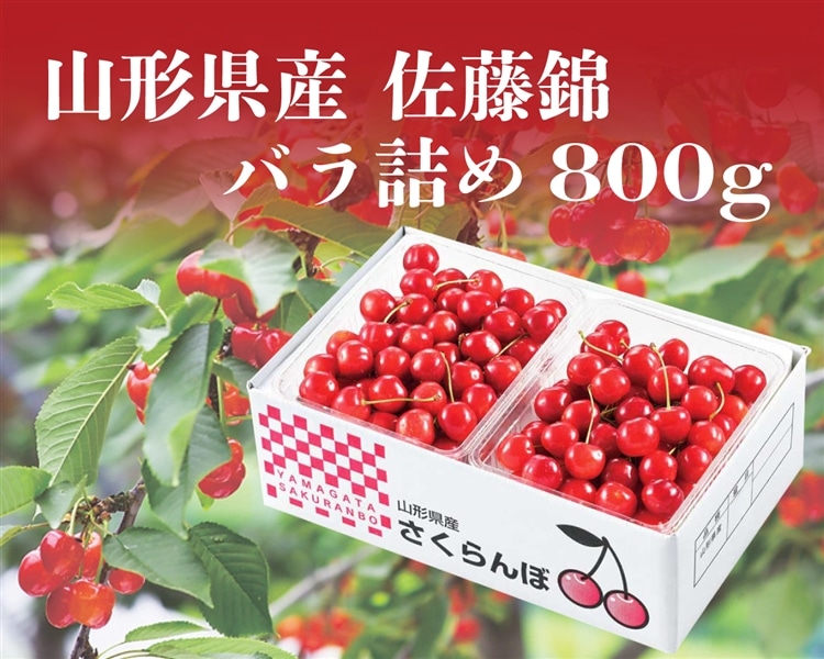 山形県産さくらんぼ佐藤錦（800gバラ詰め） 6月上旬～順次発送