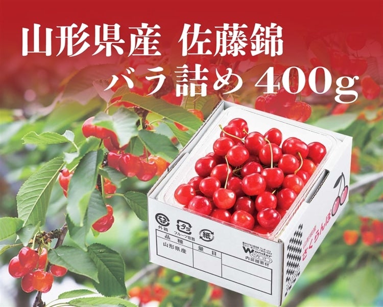 山形県産さくらんぼ佐藤錦（400gバラ詰め） 6月上旬～順次発送