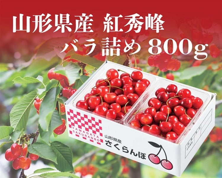 山形県産さくらんぼ紅秀峰（800gバラ詰め） 6月下旬～順次発送