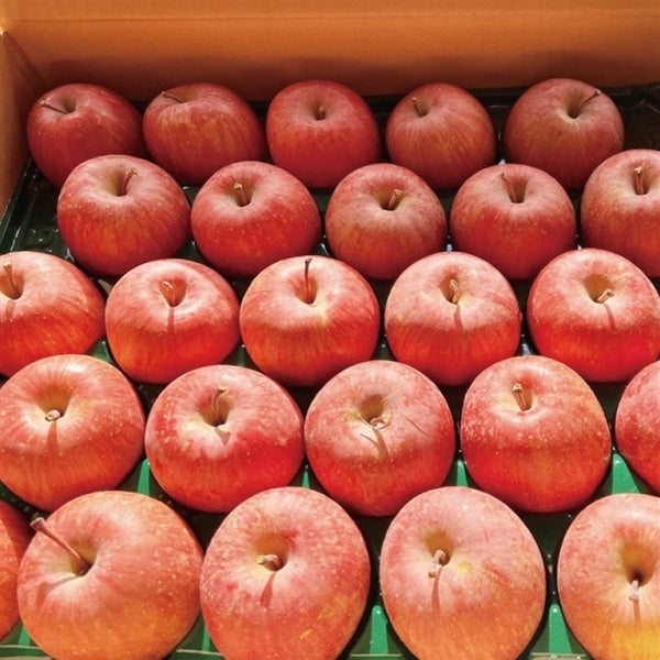 写真はイメージです。実際の玉数とは異なる場合がございます。