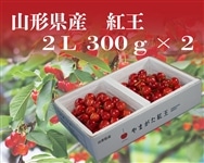 �R�`���Y��܂����g���i300��×2�j�U�����{�`��������