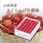 �y���������z�����������ڍ�����L�T�C�Y�i�R�O�O�����ϔ����j