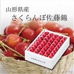 �y���������z�����������ڍ�����L�T�C�Y�i�R�O�O�����ϔ����j