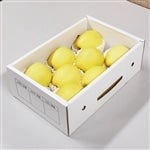 �R�`���Y��񂲁u�͂邩�v�i��2�s�E6�ʁ`9�ʁj�@1�����{���`����