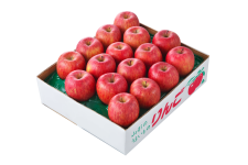 �ߘa7�N�x�` �T���ӂ���񂲁i��5�s�j�@1�����{���`����