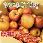 �` �ߘa7�N�x�` ���ƒ�p(�󂠂�) �T���ӂ���񂲁i��10�s�j