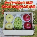 y~MtgzVC}XJbg񂲁EԂ l3@11{蔭