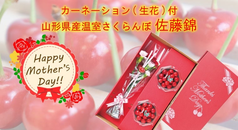 �y��̓��z�R�`���Y �����������ڍ����у_�C�����J�[�l�[�V����